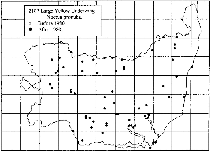 Large Yellow Underwing distribution