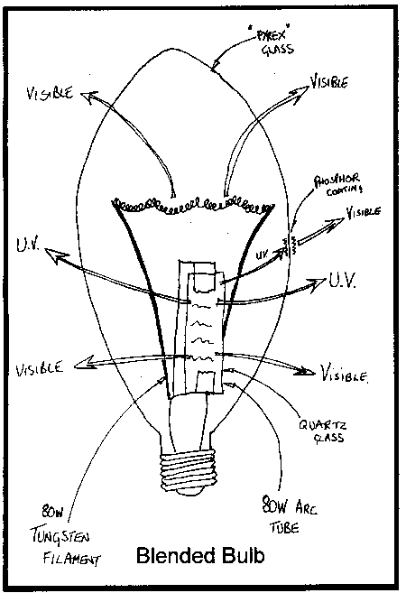 Blended bulb
