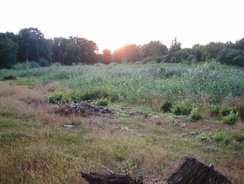Hinderclay Fen