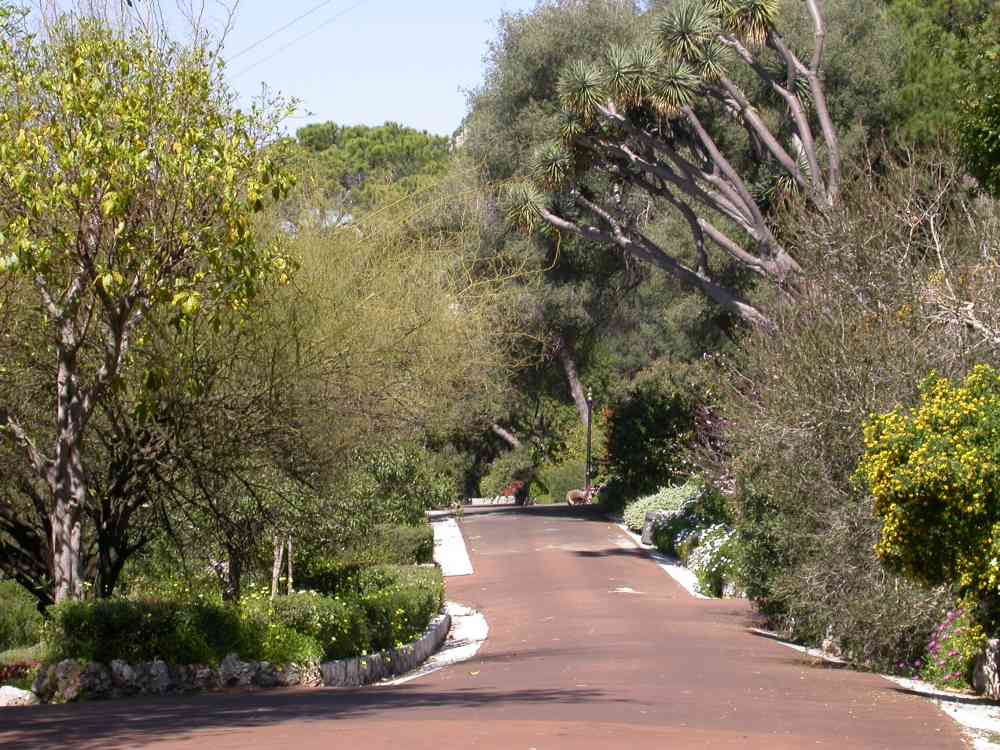 Botanical Gardens, Gibraltar