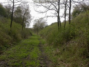 Lavenham Railway Line Reserve